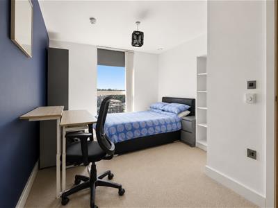 Picture 7